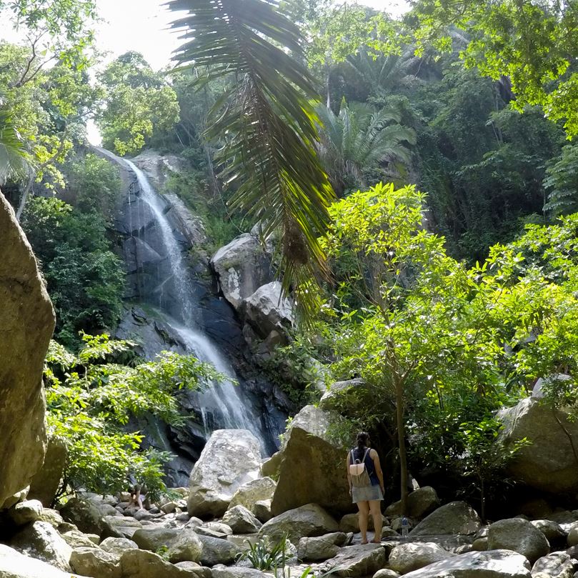 green vegetation and waterfall