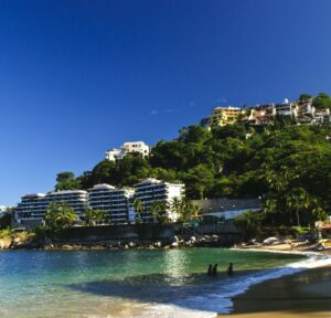 Do Travelers Need To Be Concerned With Dengue Fever In Puerto Vallarta