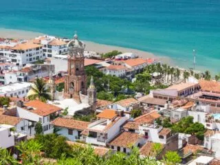 Do Travelers Need To Be Concerned With Dengue Fever In Puerto Vallarta