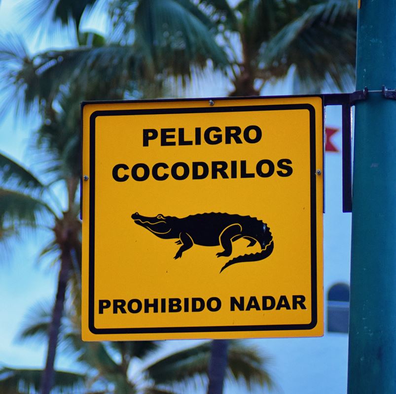 Swimming not allowed warning sign due to crocodile puerto vallarta
