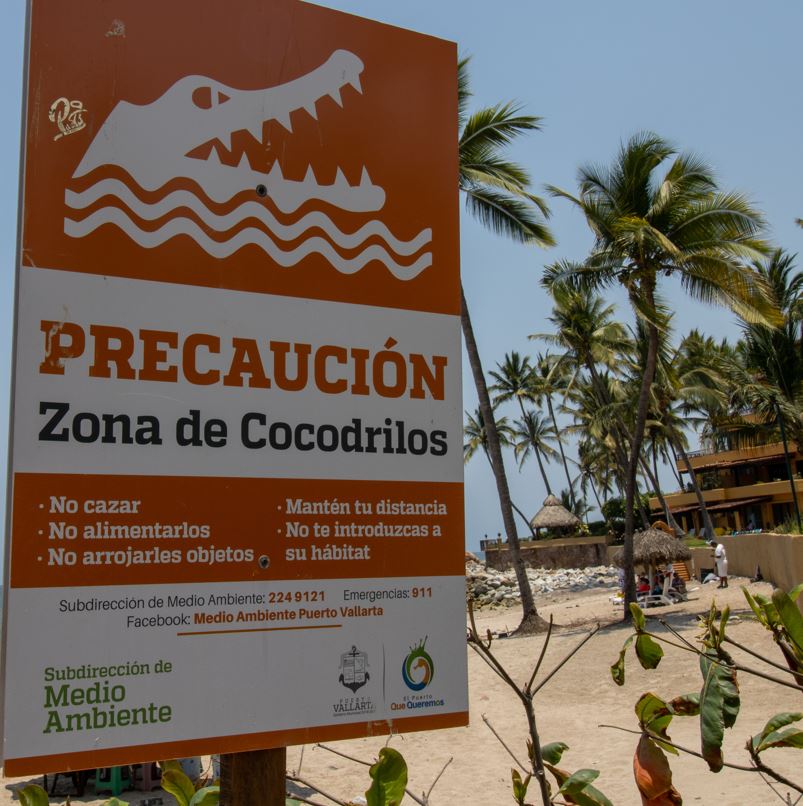warning sign crocodile zone puerto vallarta