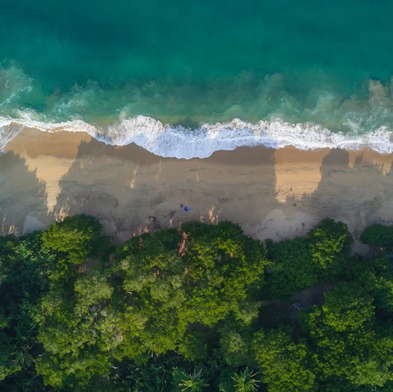 aerial view of beach sayulita with trees