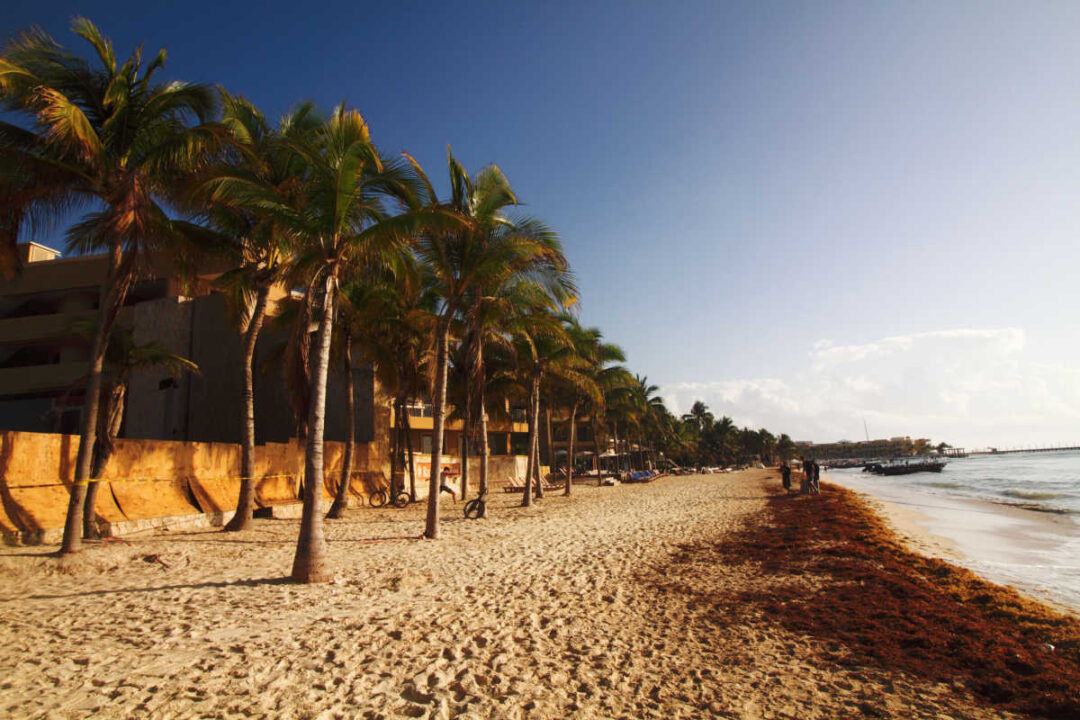Major Riviera These Major Luxury Resorts Are Coming To Riviera Nayarit Soon - Puerto ...