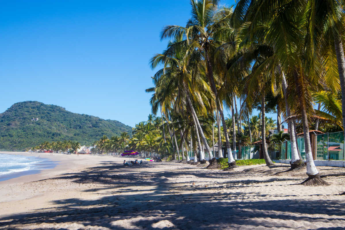 A beautiful beach in the riviera nayrait with palm trees