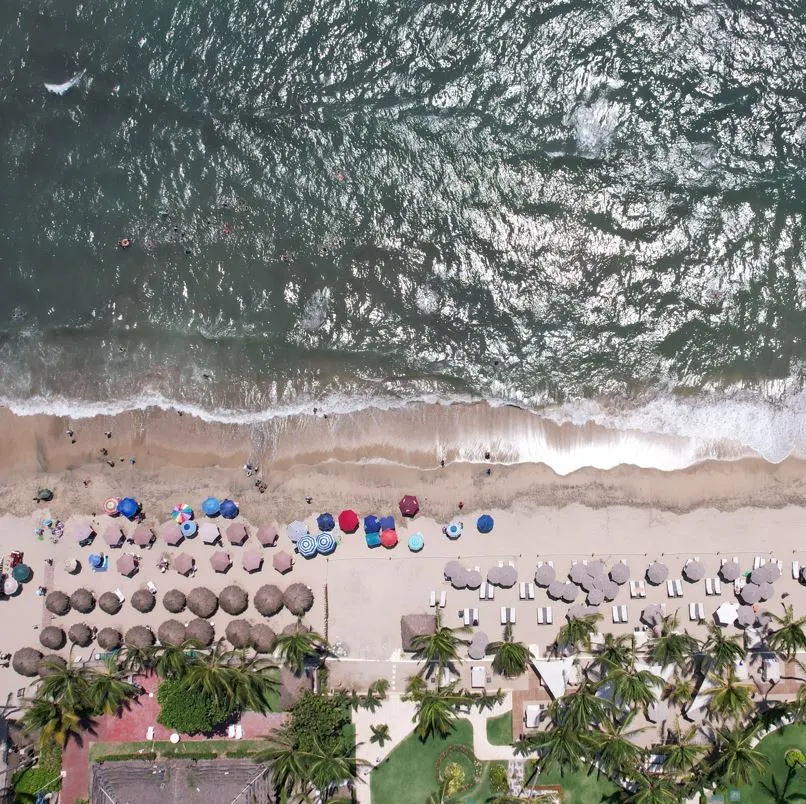aerial of beach in nuevo vallarta with palm trees