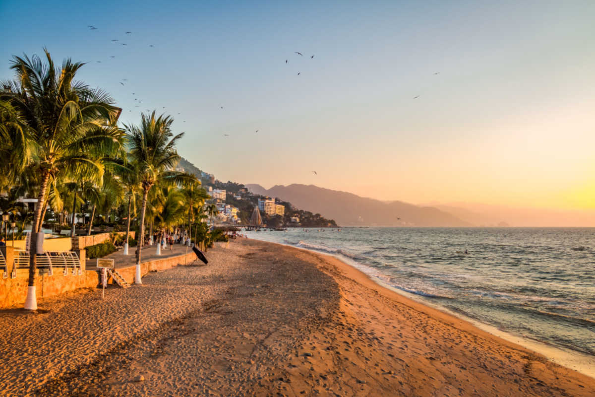 A pristine beach in 
 puerto vallarta with palm trees