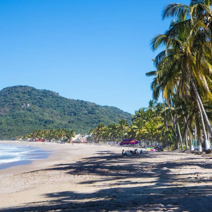 beach with palm trees in nayarit