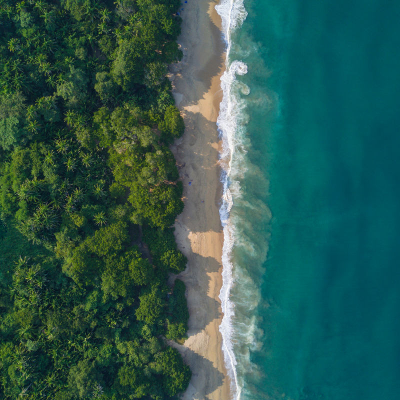 top aerial view of the beautiful beach Malpaso full of vegetation, located next to the beach of Sayulita